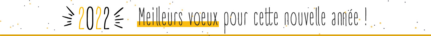 ban-site-voeux2
